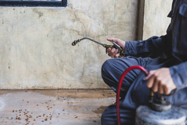 Best Mosquito Control Services  in Ridgway, PA